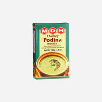 MDH (CHUTNEY PODINA MASALA) (100G)